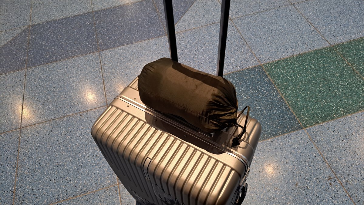 スーツケースにパロっとはいっちゃう大きさ