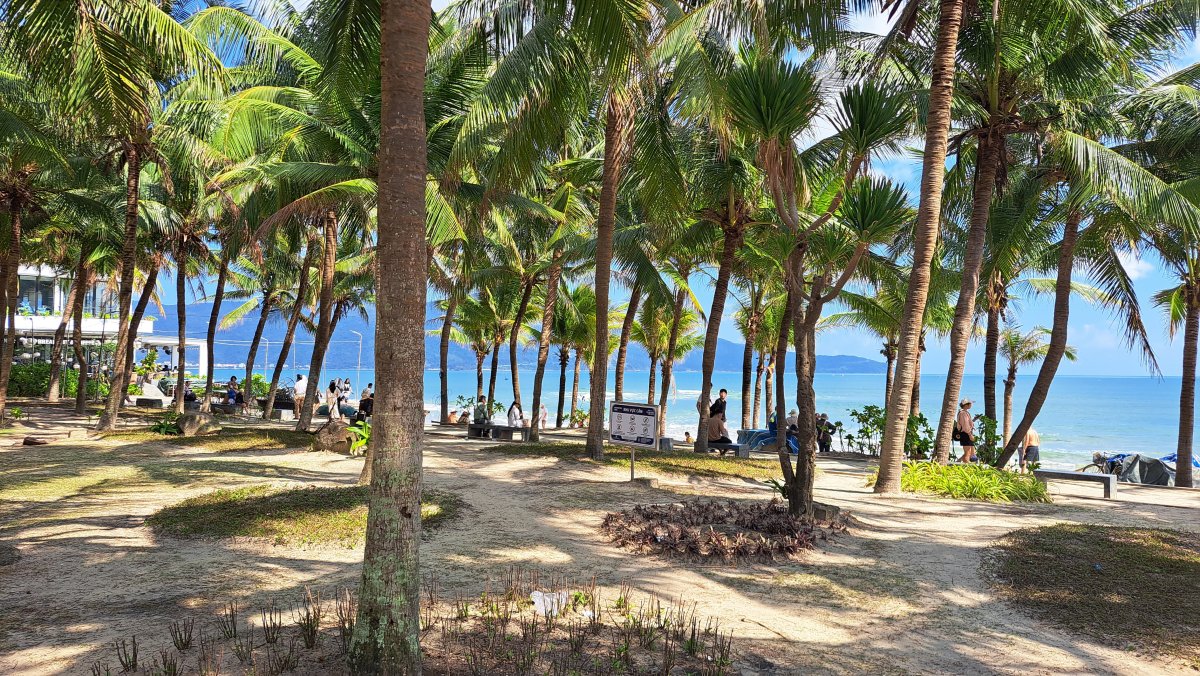 南国ビーチらしい海岸線