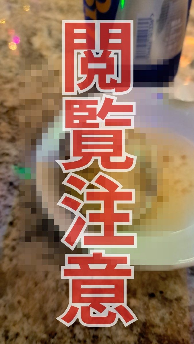 ホビロンの実物写真（モザイク）