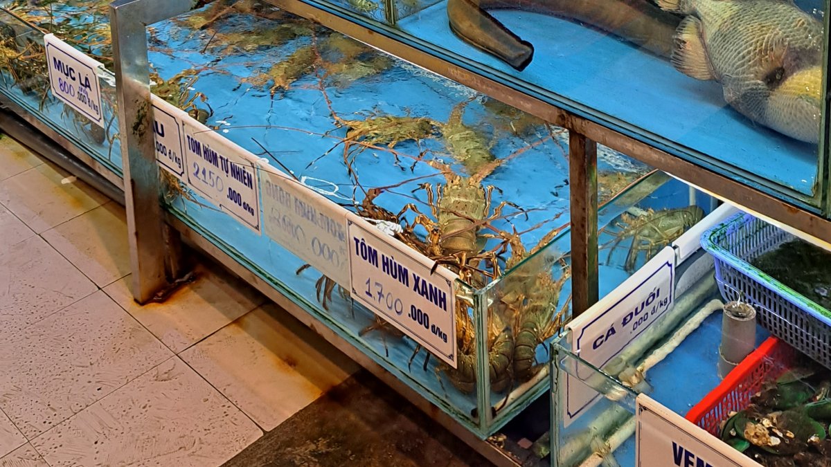 ロブスターが 1kg で 170万ドン