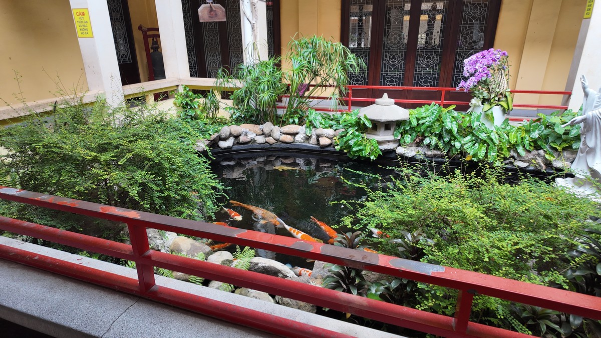 ヴィンギエム寺の中庭の池と錦鯉