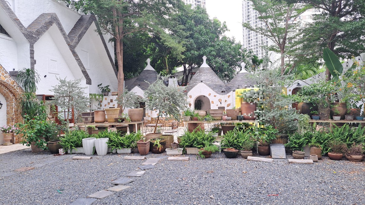 円錐屋根の建物と植木鉢が並ぶ屋外スペース